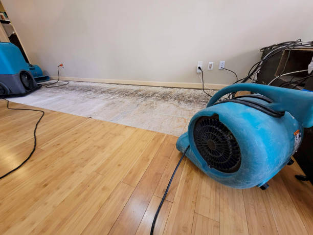 Professional Burst Pipe Water Damage technician working in Mayo, SC